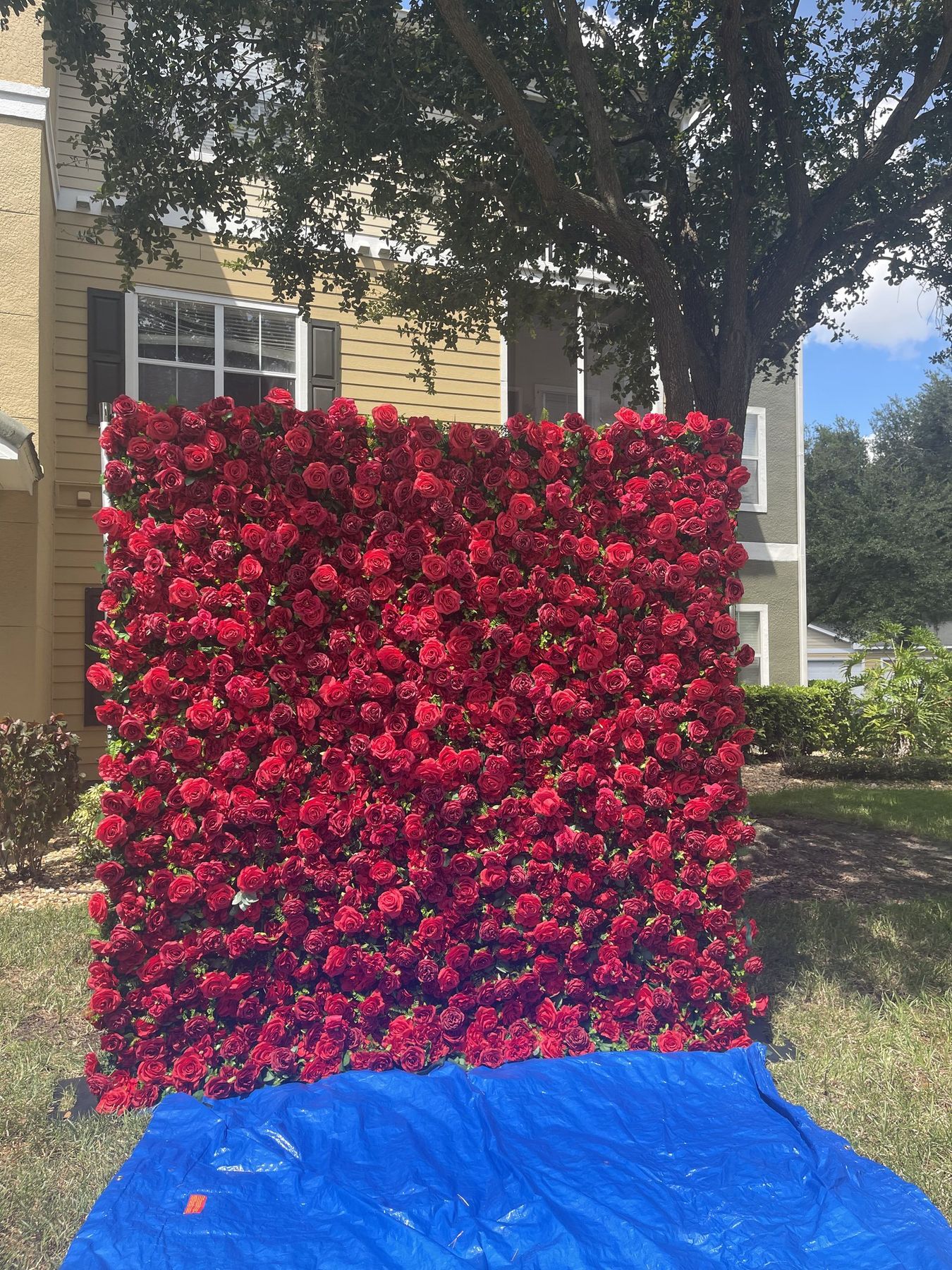 Amor Red flower wall of crimson roses, a bold sweetheart table backdrop idea for a Tampa wedding