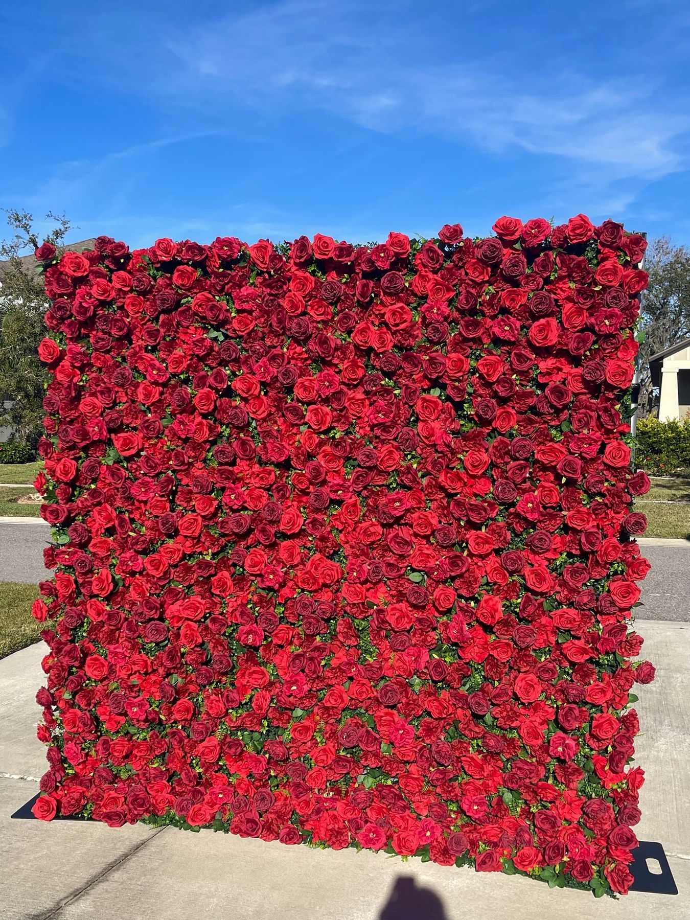 Amor Red flower wall of crimson roses, the full 8x8 panel outdoors in Tampa Bay