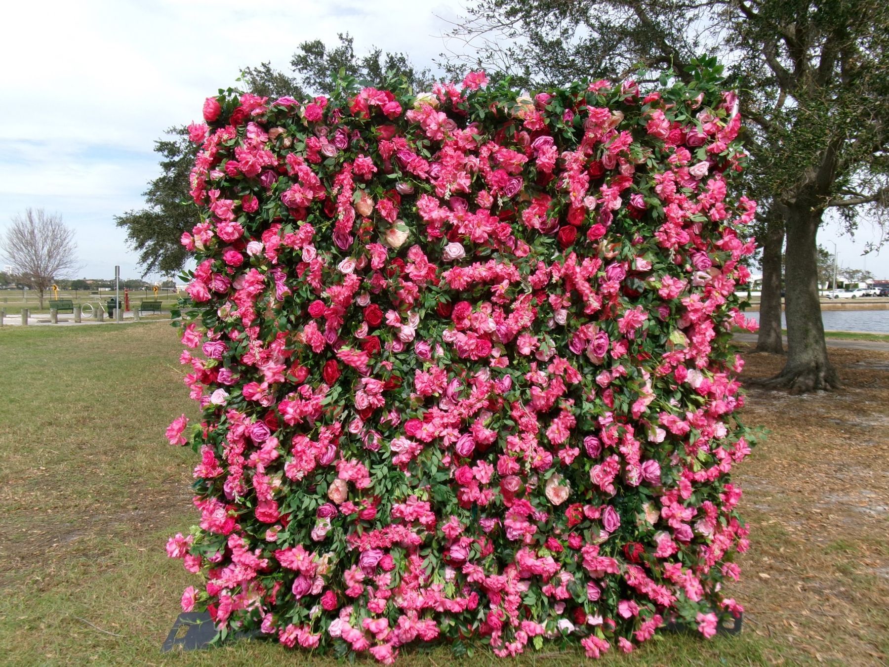 Dhalia Pink Flower Wall rental Tampa Bay