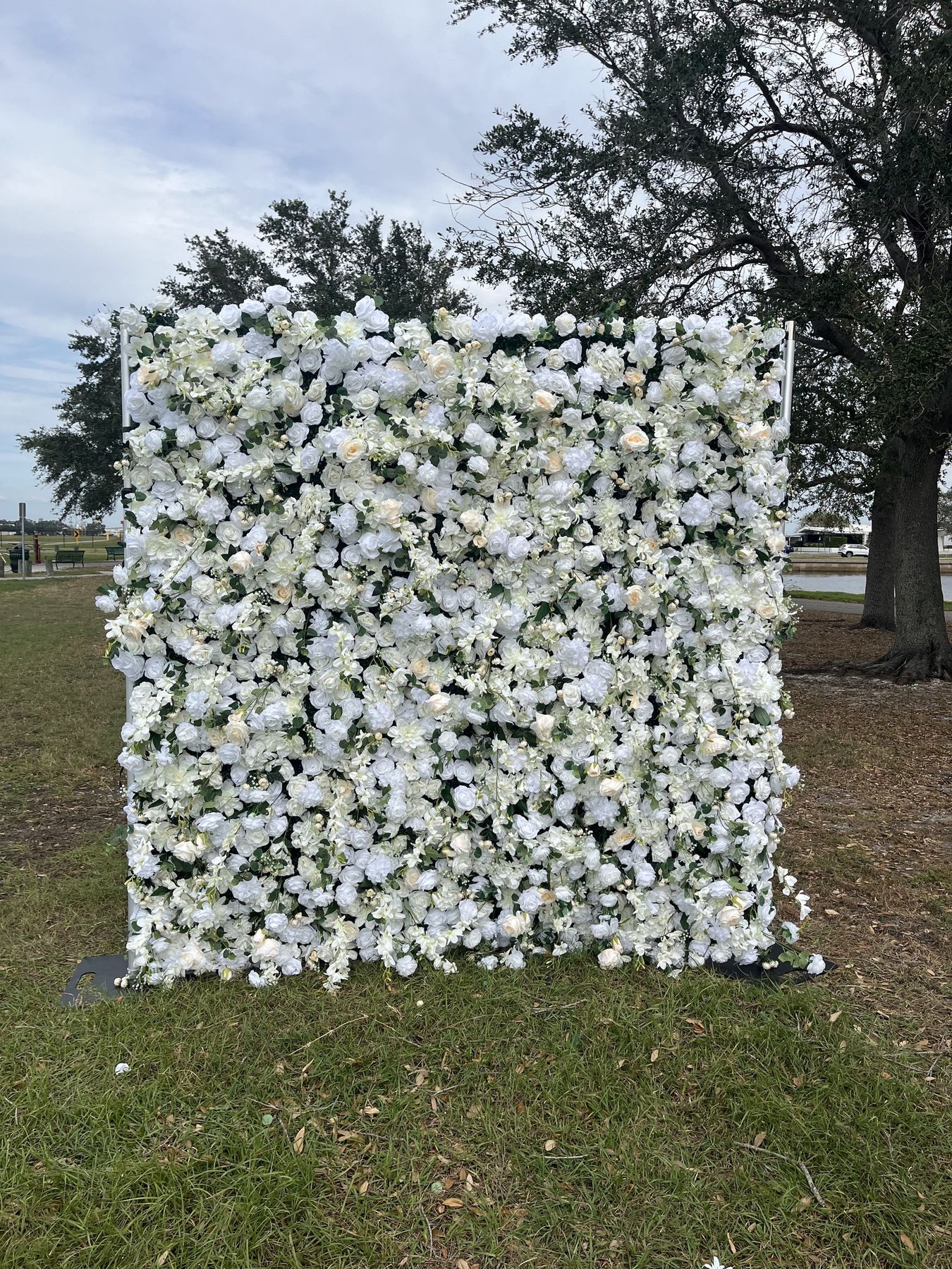 Donna Champagne flower wall of white roses standing whole on a lawn, classic glam sweetheart table idea in Tampa