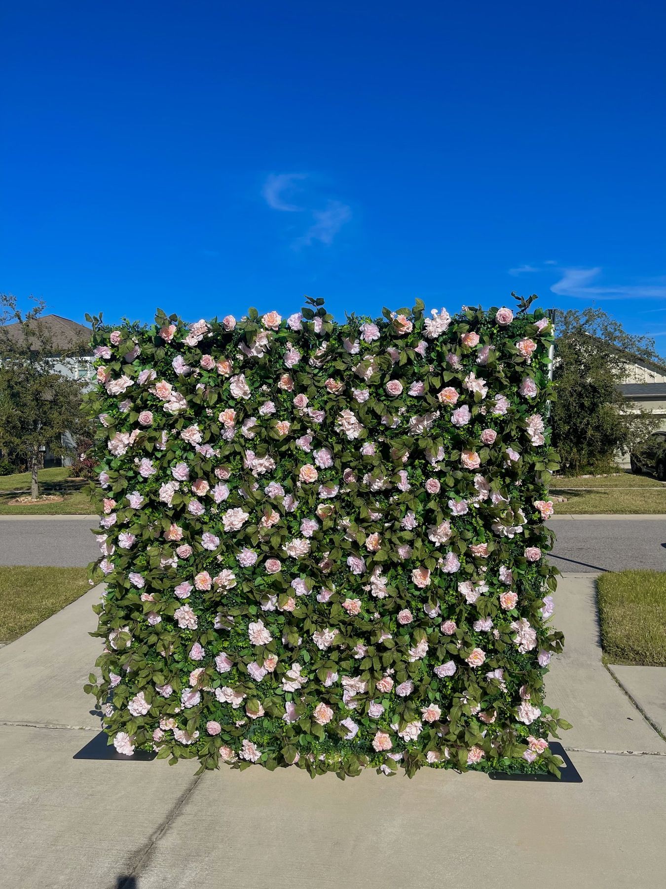 Full Flora Pink flower wall standing outdoors, panel edges visible, in Tampa