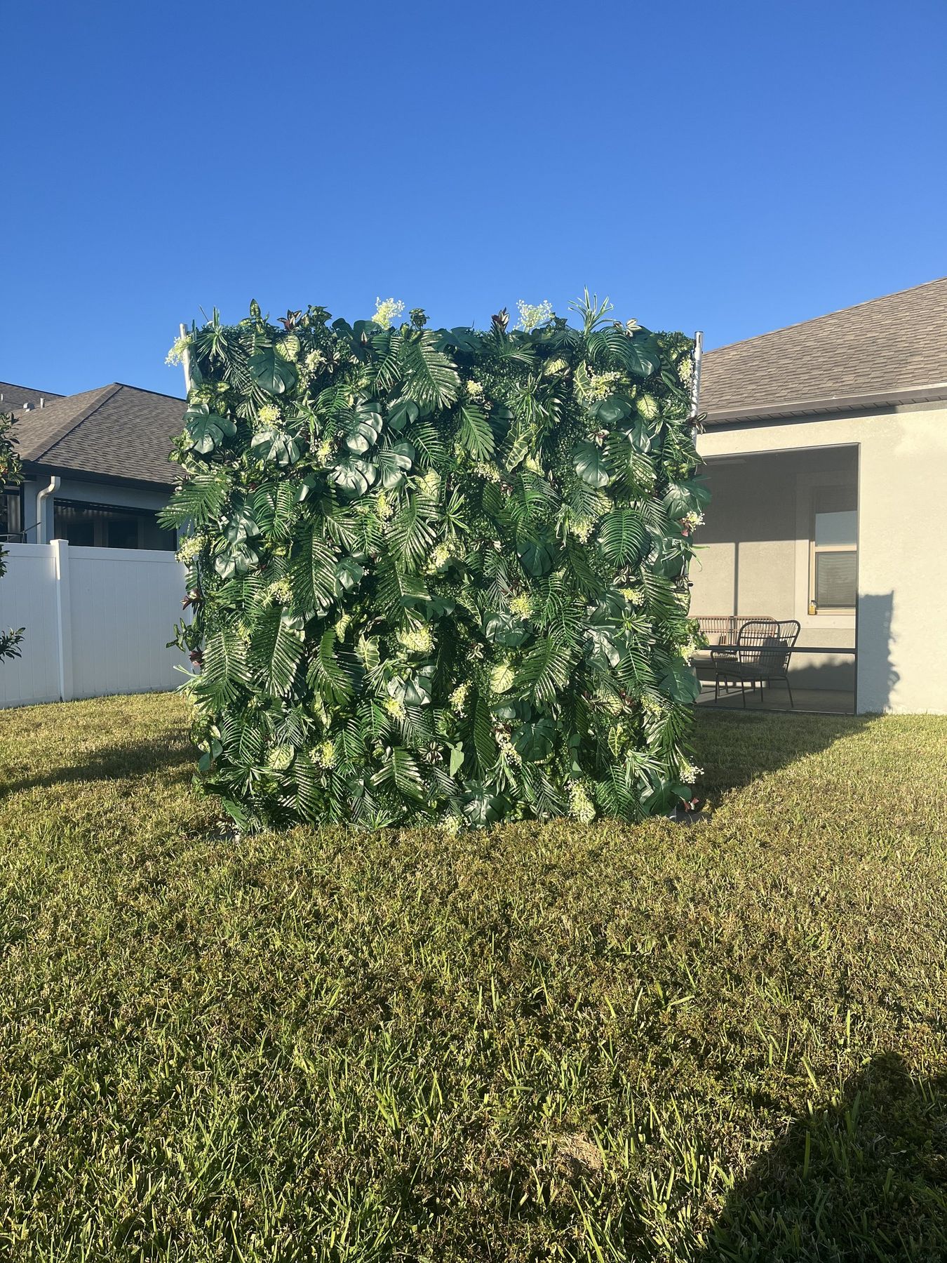 Veronica's Garden tropical palm and monstera wall outdoors in Tampa Bay